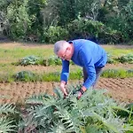 Διαμέρισμα Ca'rosei