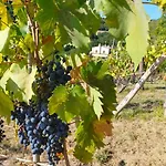 Διαμέρισμα Ca'rosei