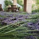 Διαμέρισμα Ca'rosei Monteciccardo