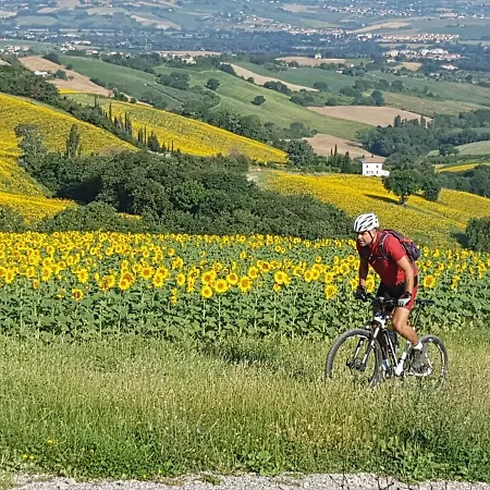 Ca'rosei * Monteciccardo