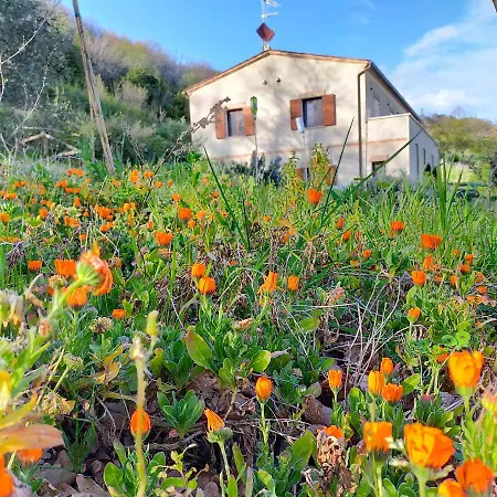 Ca'rosei Monteciccardo