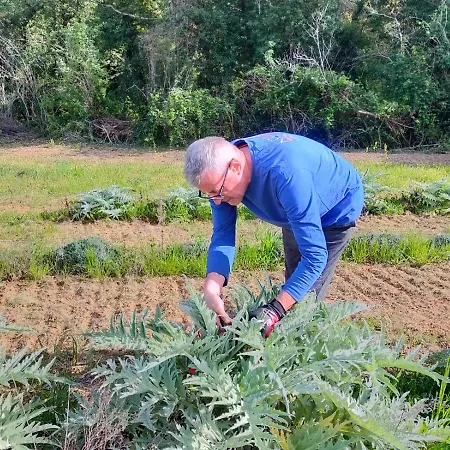 Appartamento Ca'rosei