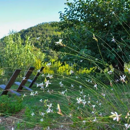 Appartamento Ca'rosei Monteciccardo