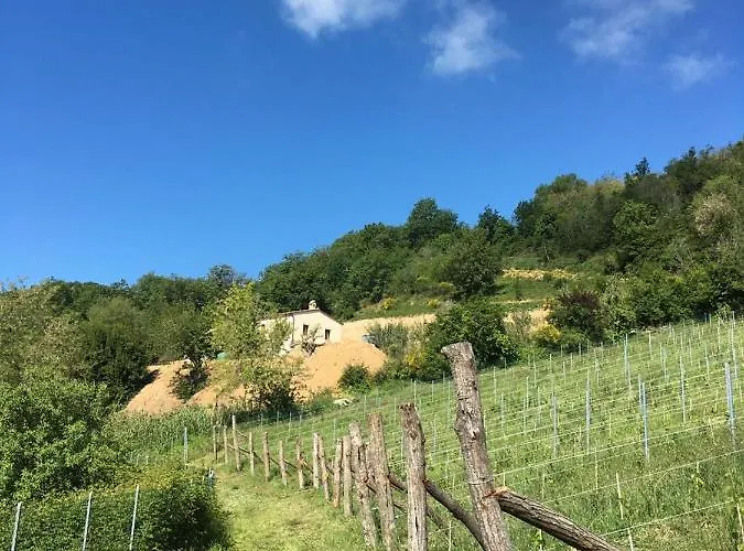 Ca'rosei Apartamento *